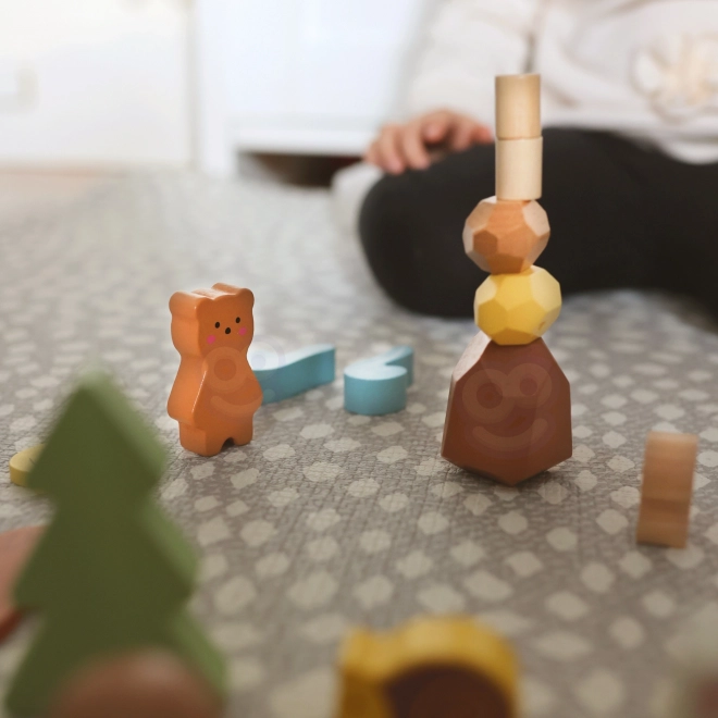 Bosset met houten blokken Tooky Toy