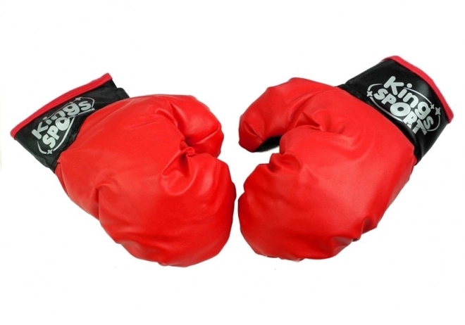 Grote bokszet + handschoenen Peerstand