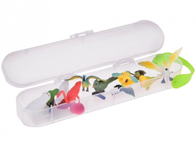 Set van kleurrijke figuren van exotische vogels