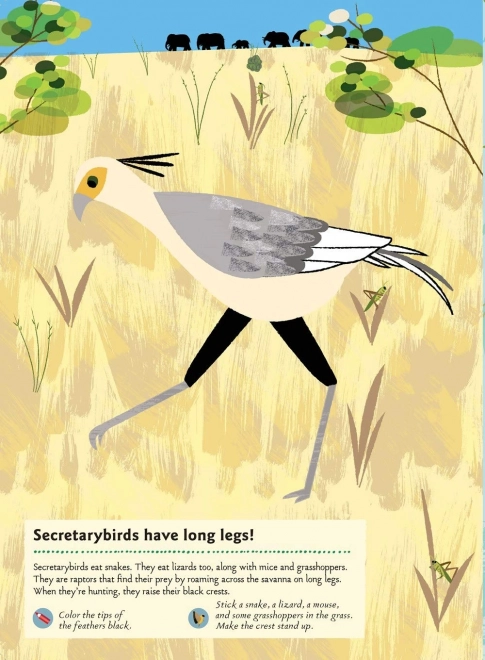 Activiteitenboek met stickers - Dieren van de savanne