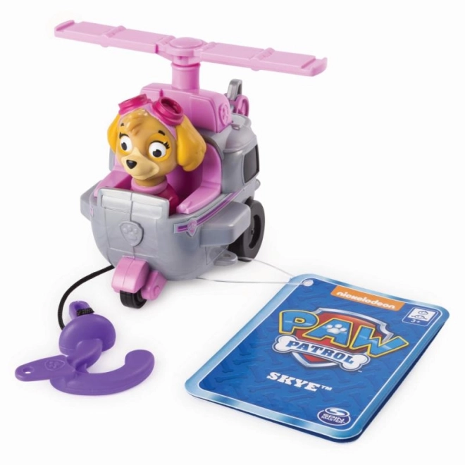 Paw Patrol klein voertuig met figuur, verschillende soorten