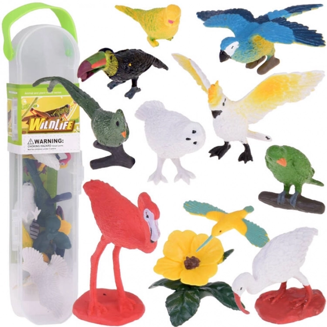 Set van kleurrijke figuren van exotische vogels
