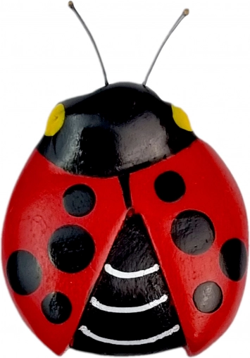 Houten magneet lieveheersbeestje 2Kids Toys