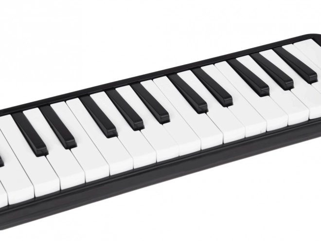 Melodica met toetsenbord en hoes