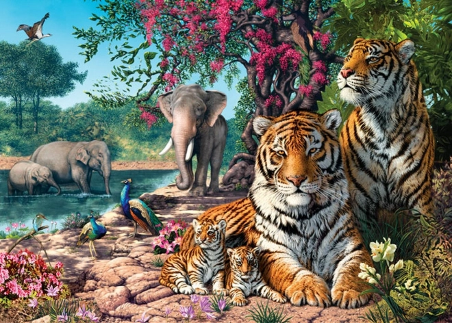 Puzzel Tijgeropvang 300 stukjes