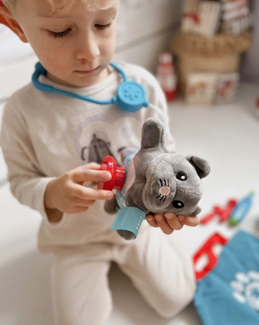 Woopie dierenarts setje Kitten met tas