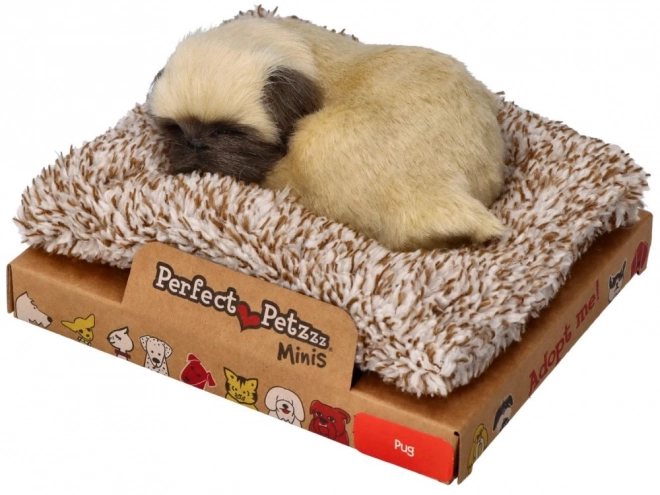 Schattige mopshond puppy Perfect Petzzz