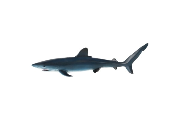 Blauwe haai plastic speelgoed 15 cm in zak