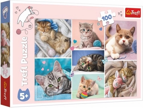 Puzzel In de kattenwereld 100 stukjes Trefl