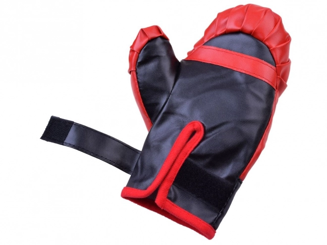 Bokszet met handschoenen en zak