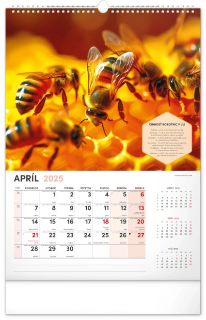 NOTIQUE Muur Bijenteelt Kalender 2025, 33 x 46 cm