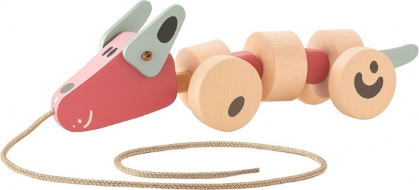 Cubika pastelkleurige houten trek-eendjes