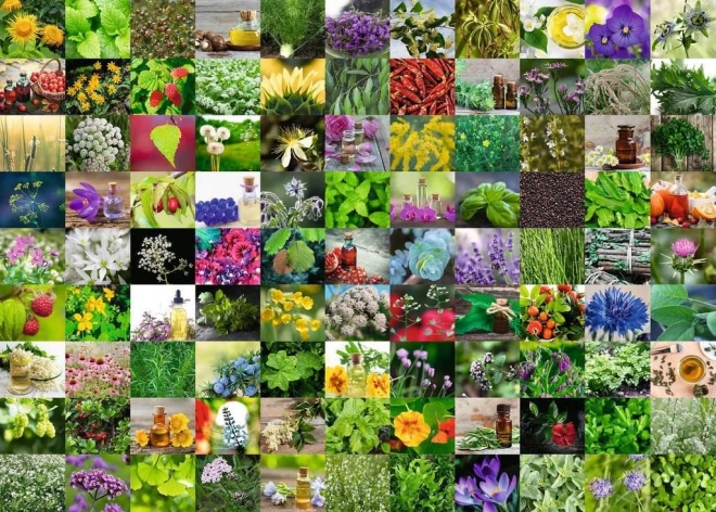 Puzzel RAVENSBURGER 1000 stukjes 99 kruiden