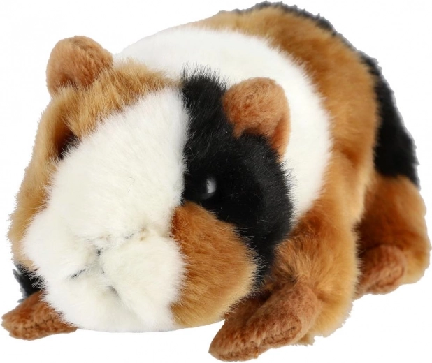 Realistische driekleurige tekening