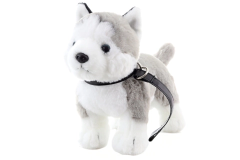 Pluche husky met riem