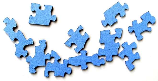 COBBLE HILL Puzzel Vistuig 1000 stukjes