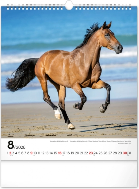 Wandkalender Paarden 2026