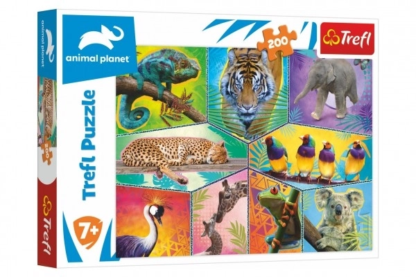 Puzzel Planeet van Dieren 48x34cm 200 stukjes in doos 33x23x4cm