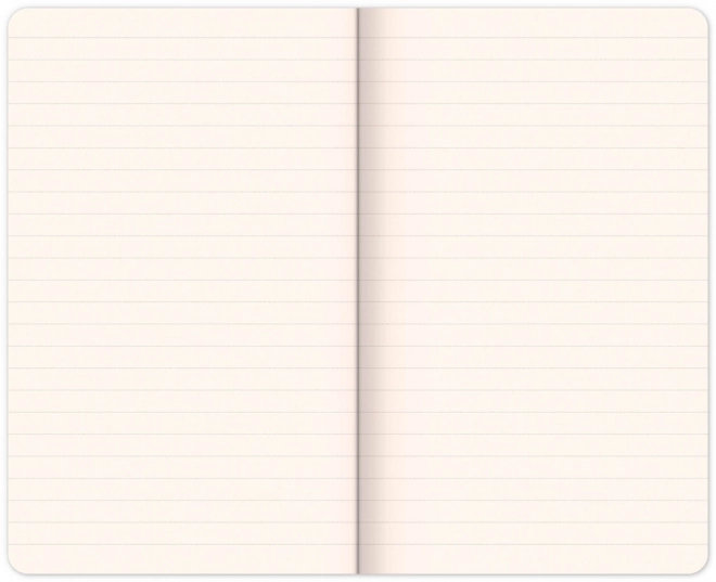 Notitieboek Superman – Symbool