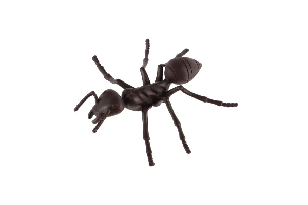 Realistische plastic modellen van insecten