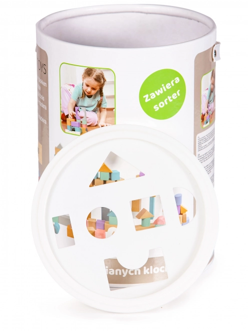 Houten blokken 100 st met emmer inclusief sorteerder Ecotoys