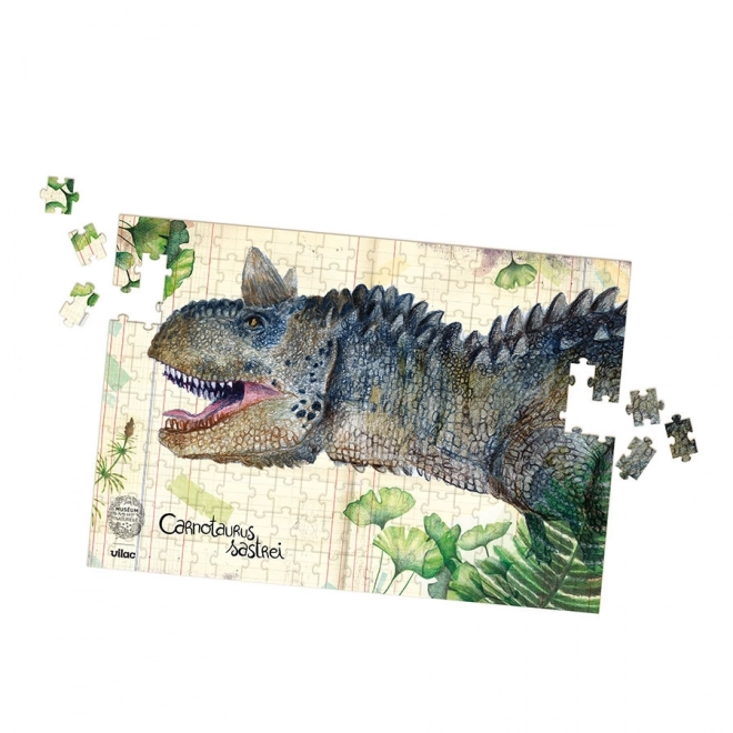 Vilac set van drie puzzels met dinosaurussen