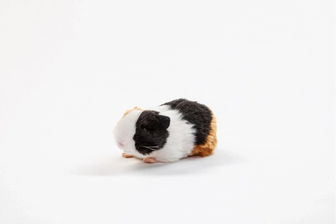 Pluche Cavia 21 cm - ECO - VRIENDELIJK