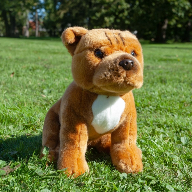Rappa pluchen hond