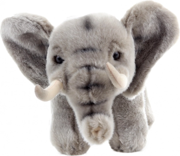 Milieuvriendelijke materialen