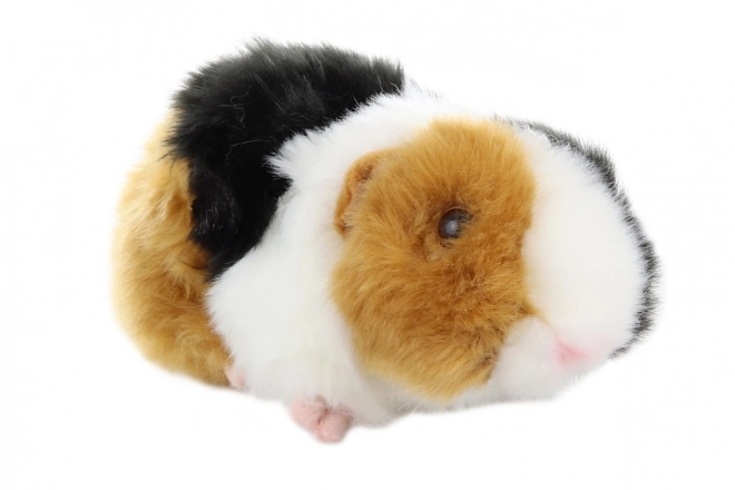 Pluche Cavia 21 cm - ECO - VRIENDELIJK