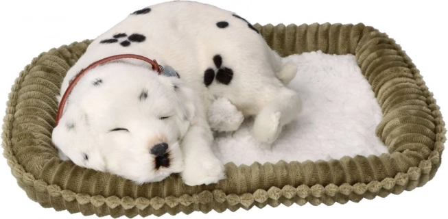 Realistische ademende dalmatiër PERFECT PETZZZ ter adoptie
