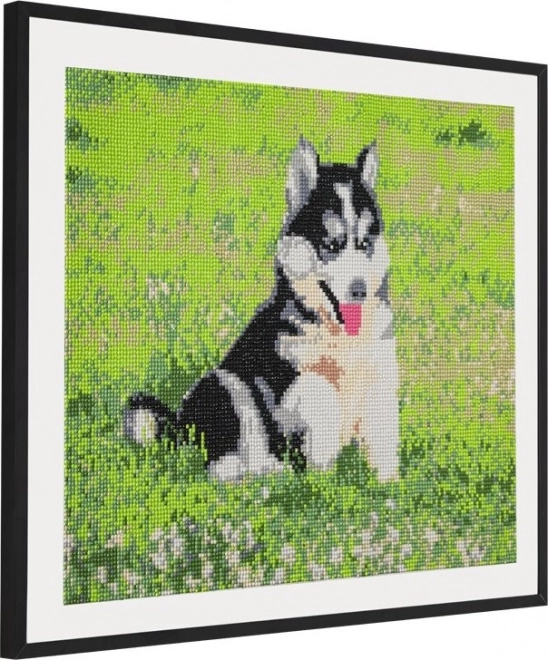 GRAFIX Diamanten schilderij Husky 40x50cm