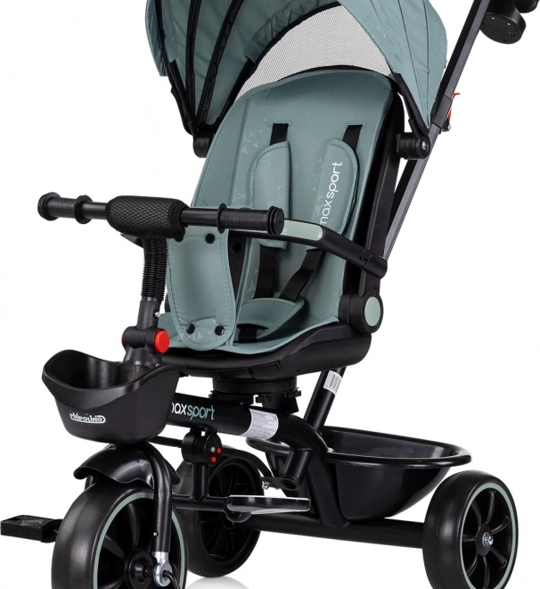 Driewieler met kap 2-in-1 Chipolino Max Sport Basil