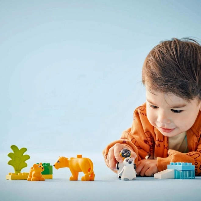 Lego Duplo Wilde Dierenfamilies: Pinguïns en Leeuwen