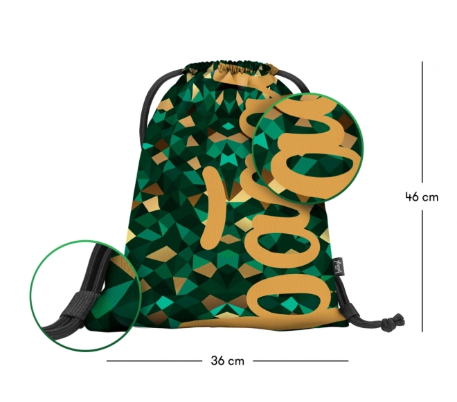 Zak voor gymnastiekschoenen of schoenen Skate Polygon van Baagl