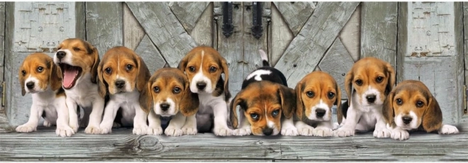Puzzel 1000 stuks Compact panorama Beagle