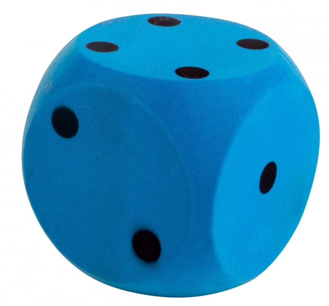 Androni Zachte Blok - grootte 10 cm, blauw