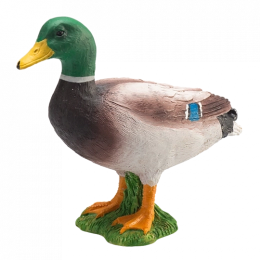 Realistische figuur van een wilde eend