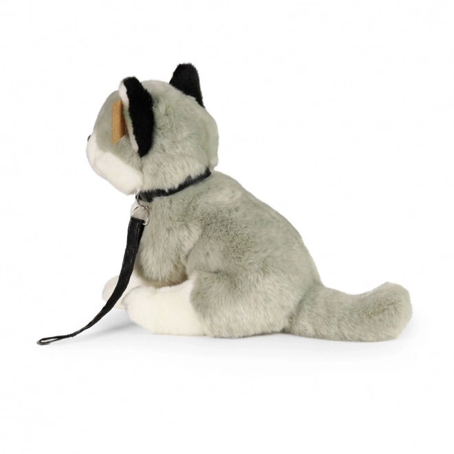 Pluche Husky hond met riem 28 cm van Rappa