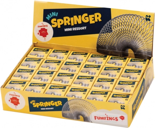 Metalen mini veer Slinky