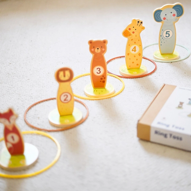 Houten precisiespel met ringen Tooky Toy