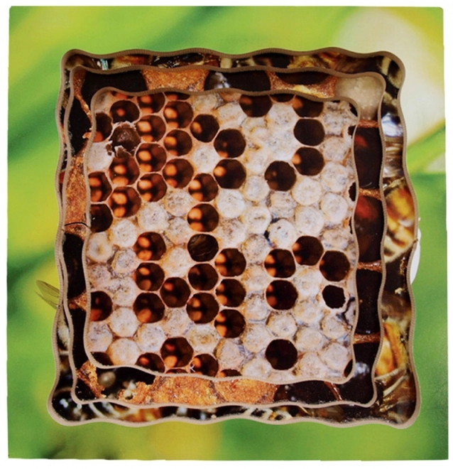 Just Jigsaws 600 Bij – houten gelaagde puzzel