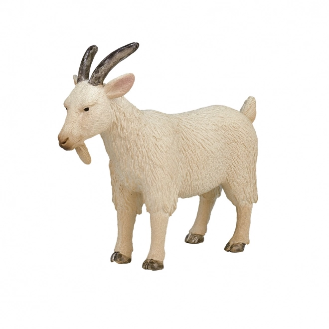 Mojo Bok