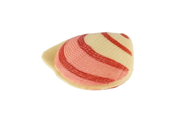 Zeedieren met accessoires plastic set