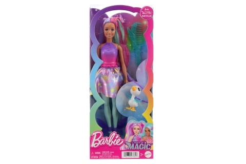Barbie Barbie een vleugje magie vriendin – Rocki