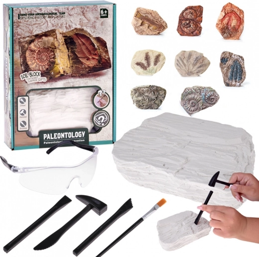 Archeologieset opgraving – verrassing fossiele schedel