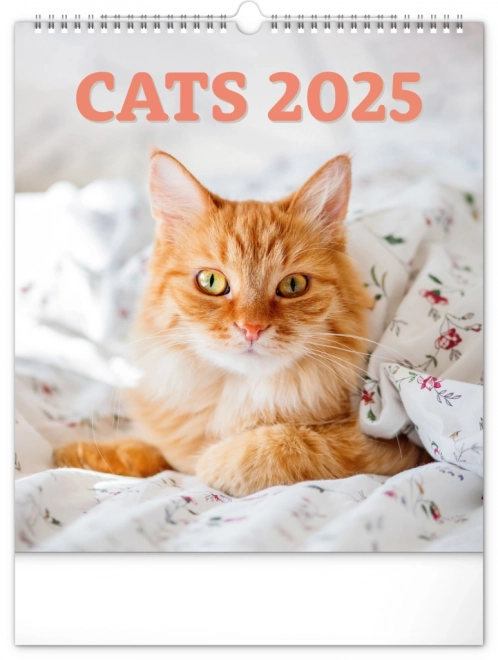 Wandkalender Katten 2025, 30 × 34 cm