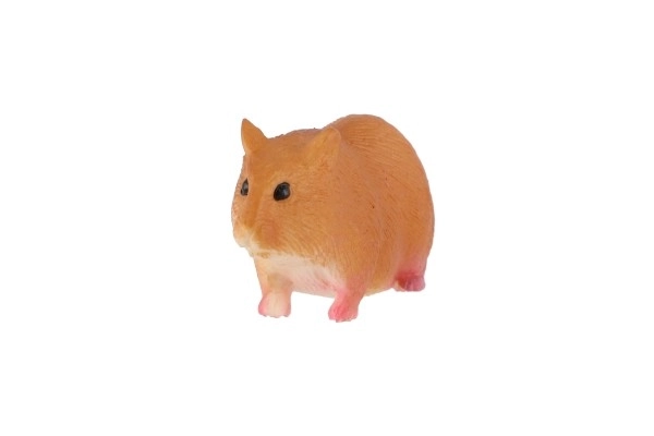 Cavia huishoudelijke zooted 6cm in zak