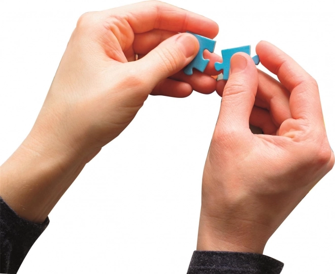 CLEMENTONI Puzzel Belle en het Beest 1000 stukjes