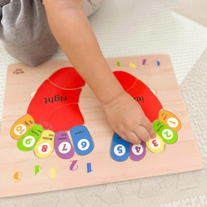 Houten educatieve puzzel TOOKY TOY - Leren cijfers en kleuren